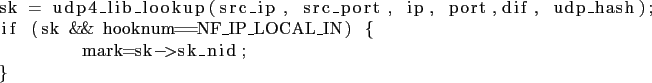 \begin{lstlisting}
sk = udp4_lib_lookup(src_ip, src_port, ip, port,dif, udp_hash);
if (sk && hooknum==NF_IP_LOCAL_IN) {
mark=sk->sk_nid;
}
\end{lstlisting}